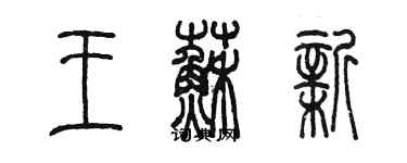 陳墨王蘇新篆書個性簽名怎么寫