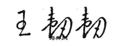 駱恆光王韌韌草書個性簽名怎么寫