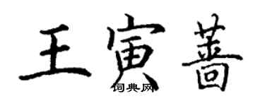 丁謙王寅薔楷書個性簽名怎么寫