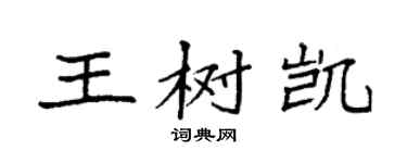 袁強王樹凱楷書個性簽名怎么寫