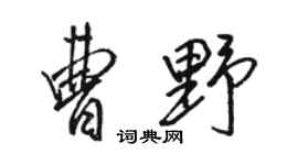 駱恆光曹野行書個性簽名怎么寫