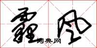 朱錫榮霾風草書怎么寫
