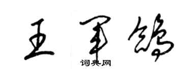 梁錦英王軍鴿草書個性簽名怎么寫