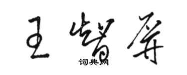 駱恆光王智屏草書個性簽名怎么寫