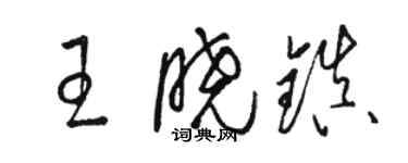 駱恆光王曉鎮草書個性簽名怎么寫