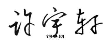 駱恆光許宇軒草書個性簽名怎么寫