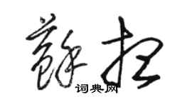 駱恆光蘇想草書個性簽名怎么寫