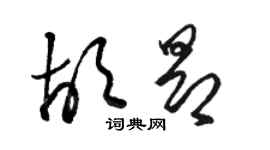 駱恆光胡昂草書個性簽名怎么寫