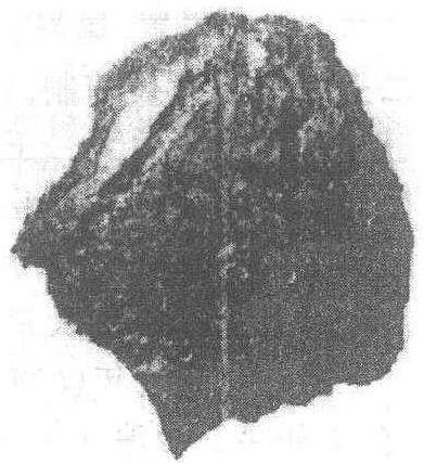 二里崗遺址_二里崗遺址介紹_歷史知識