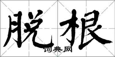 翁闓運脫根楷書怎么寫