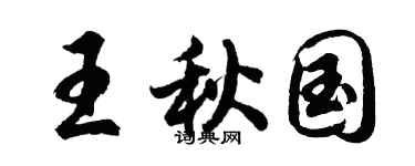 胡問遂王秋國行書個性簽名怎么寫