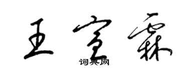 梁錦英王宣霖草書個性簽名怎么寫