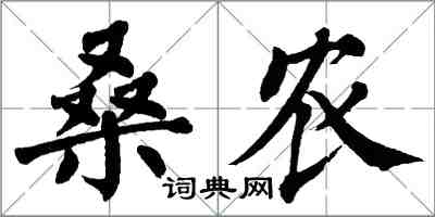 翁闓運桑農楷書怎么寫