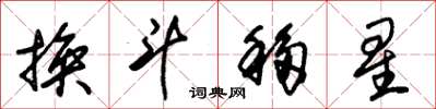 朱錫榮換斗移星草書怎么寫