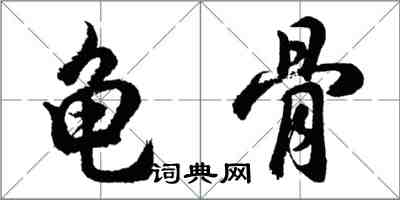 胡問遂龜骨行書怎么寫