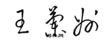 駱恆光王蘭州草書個性簽名怎么寫