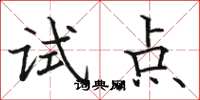 駱恆光試點楷書怎么寫