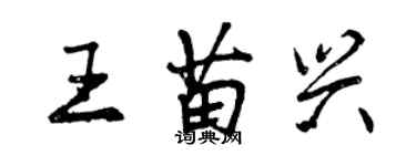 曾慶福王苗興行書個性簽名怎么寫