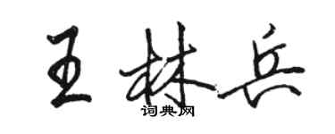駱恆光王林兵行書個性簽名怎么寫