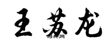 胡問遂王蘇龍行書個性簽名怎么寫