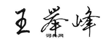 駱恆光王舉峰行書個性簽名怎么寫