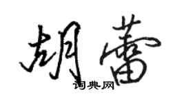 駱恆光胡蕾行書個性簽名怎么寫