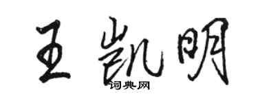 駱恆光王凱明行書個性簽名怎么寫