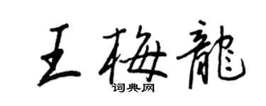 王正良王梅龍行書個性簽名怎么寫
