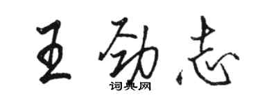 駱恆光王勁志行書個性簽名怎么寫