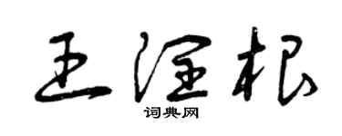 曾慶福王潤根草書個性簽名怎么寫