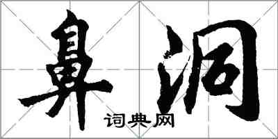 胡問遂鼻洞行書怎么寫