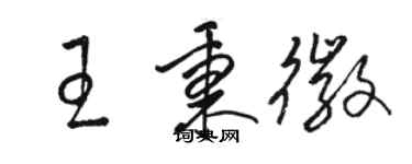 駱恆光王秉徽草書個性簽名怎么寫