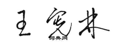 駱恆光王憲林草書個性簽名怎么寫