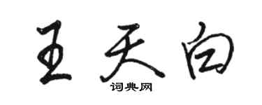 駱恆光王天白行書個性簽名怎么寫