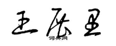 曾慶福王展里草書個性簽名怎么寫