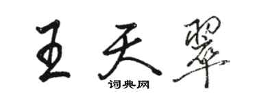 駱恆光王天翠行書個性簽名怎么寫