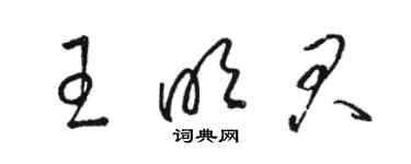 駱恆光王明君草書個性簽名怎么寫