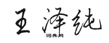 駱恆光王澤純行書個性簽名怎么寫