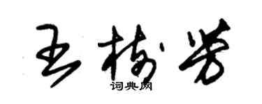 朱錫榮王樹芳草書個性簽名怎么寫