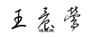 梁錦英王晨鶯草書個性簽名怎么寫