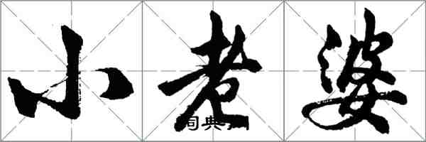 胡問遂小老婆行書怎么寫