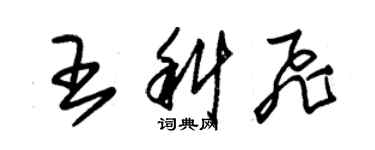 朱錫榮王科飛草書個性簽名怎么寫