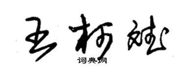 朱錫榮王柯斌草書個性簽名怎么寫