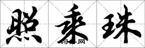 胡問遂照乘珠行書怎么寫