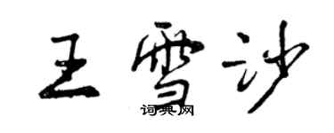 曾慶福王雪沙行書個性簽名怎么寫