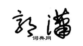 朱錫榮郭瀟草書個性簽名怎么寫