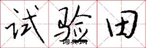 試驗田怎么寫好看