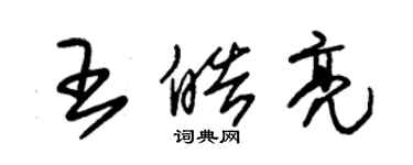 朱錫榮王皓亮草書個性簽名怎么寫