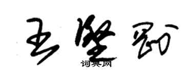 朱錫榮王堅剛草書個性簽名怎么寫