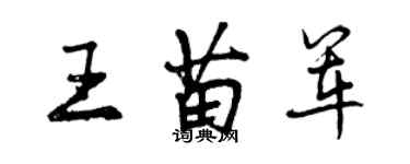 曾慶福王苗軍行書個性簽名怎么寫